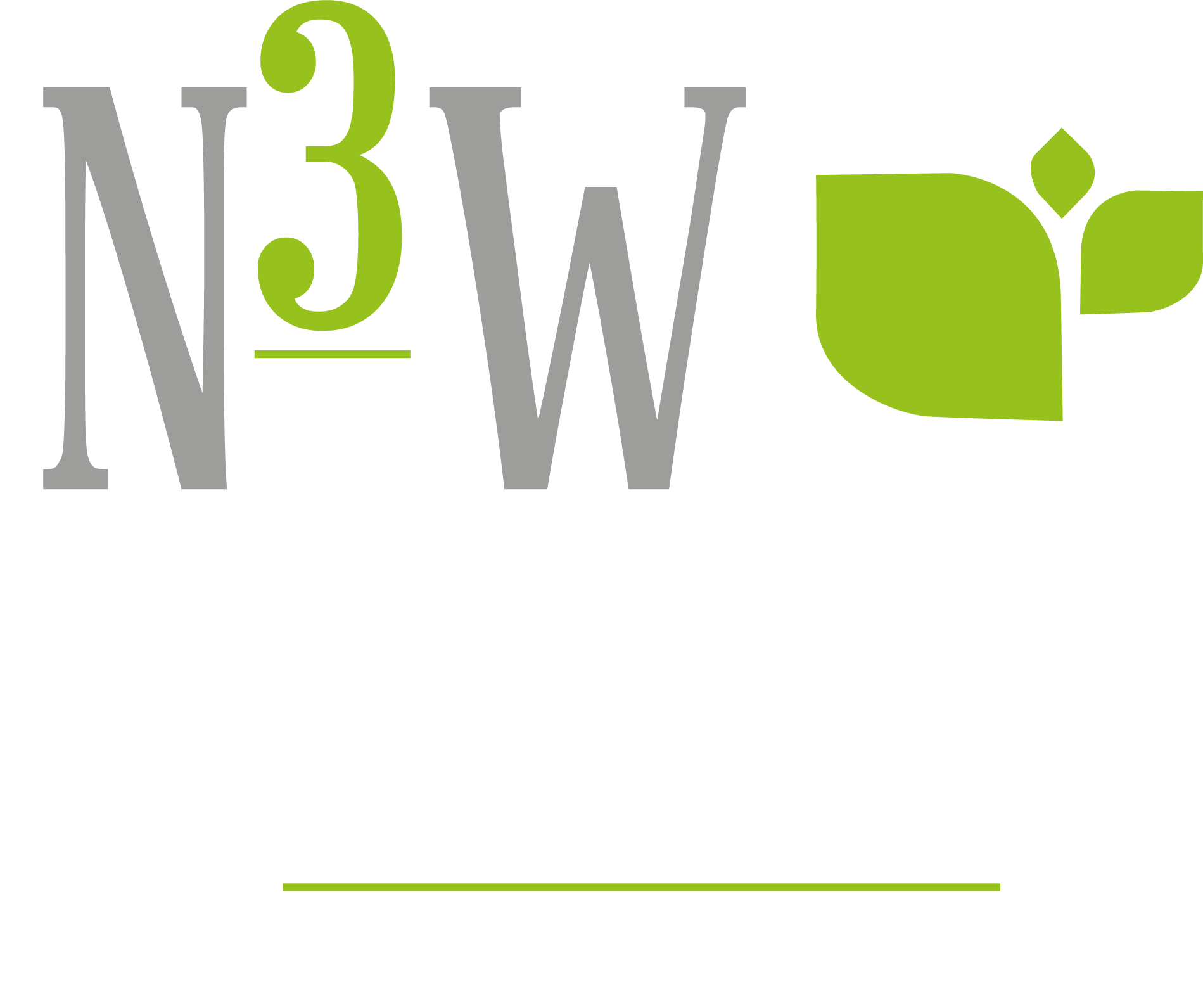 Н3В ПЛАНТ БГ logo